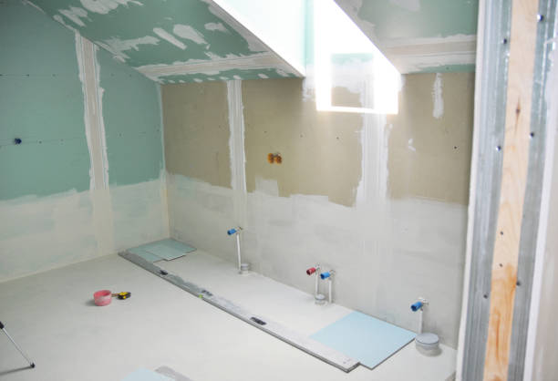 Best Industrial Mold Remediation  in Danvers, IL