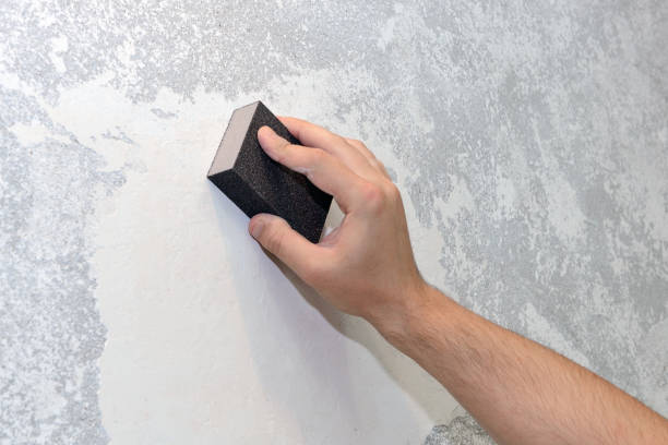 Forensic Mold Investigation in Danvers, IL