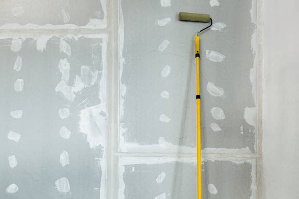 Mold Remediation for Rental Properties in Danvers, IL