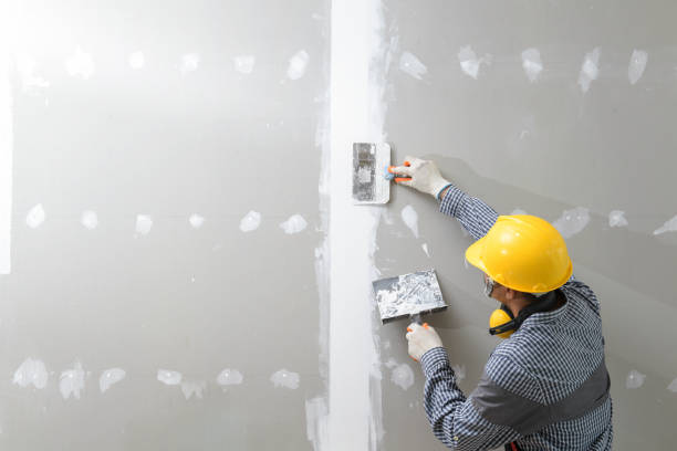 Best Black Mold Removal  in Danvers, IL