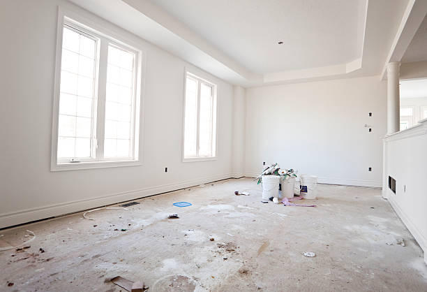 Reliable Danvers, IL Mold Removal Solutions