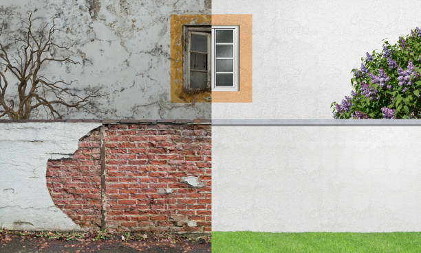 Best Post-Construction Mold Inspection  in Danvers, IL