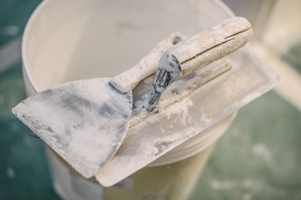Best Mold Odor Removal Services  in Danvers, IL