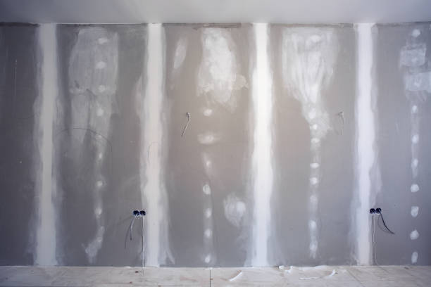 Best Basement Mold Removal  in Danvers, IL